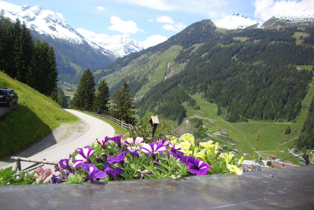 Schachengut Villa Bad Gastein Rum bild