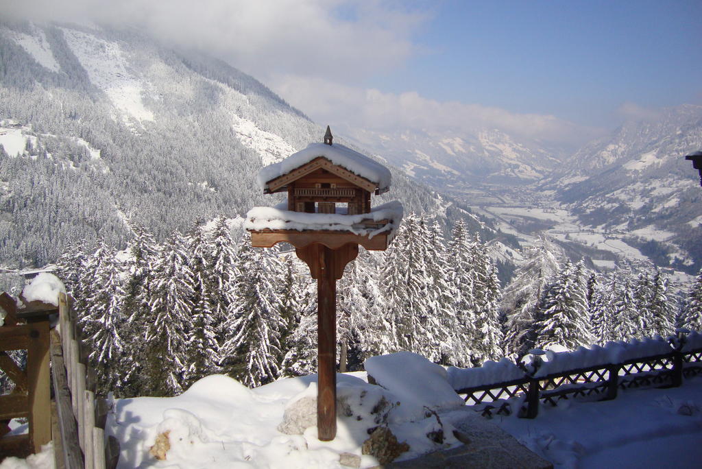 Schachengut Villa Bad Gastein Rum bild